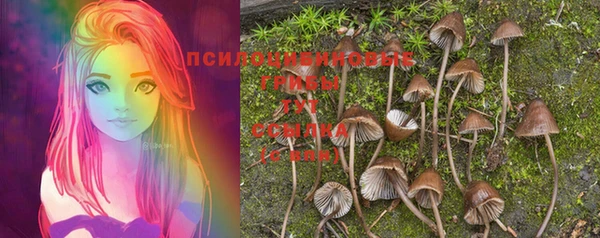 спайс Абинск