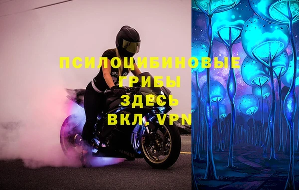 индика Абдулино