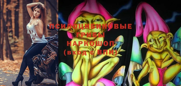 индика Абдулино